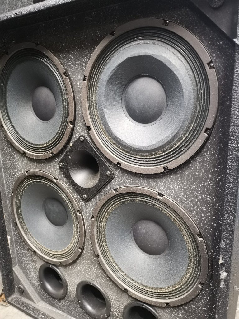 Speaker cabinet cone damage